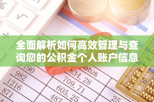 千阳全面解析如何高效管理与查询您的公积金个人账户信息